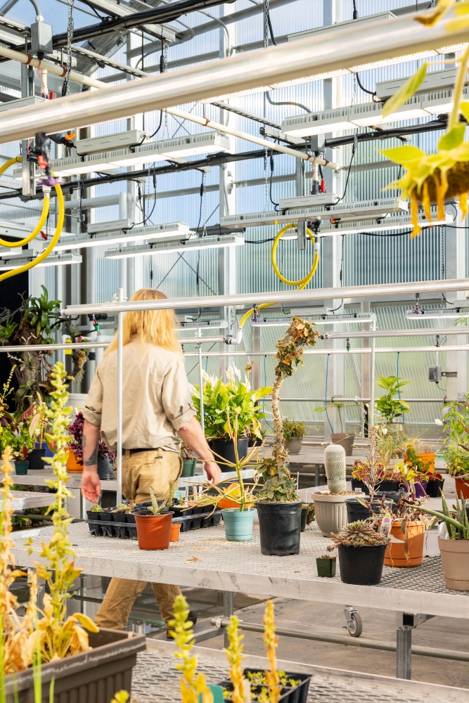 Plants