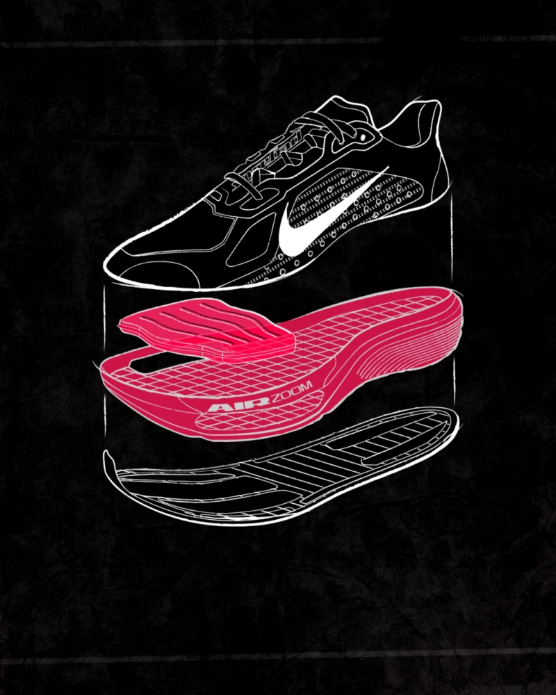 Nike Pegasus cushioning system graphics