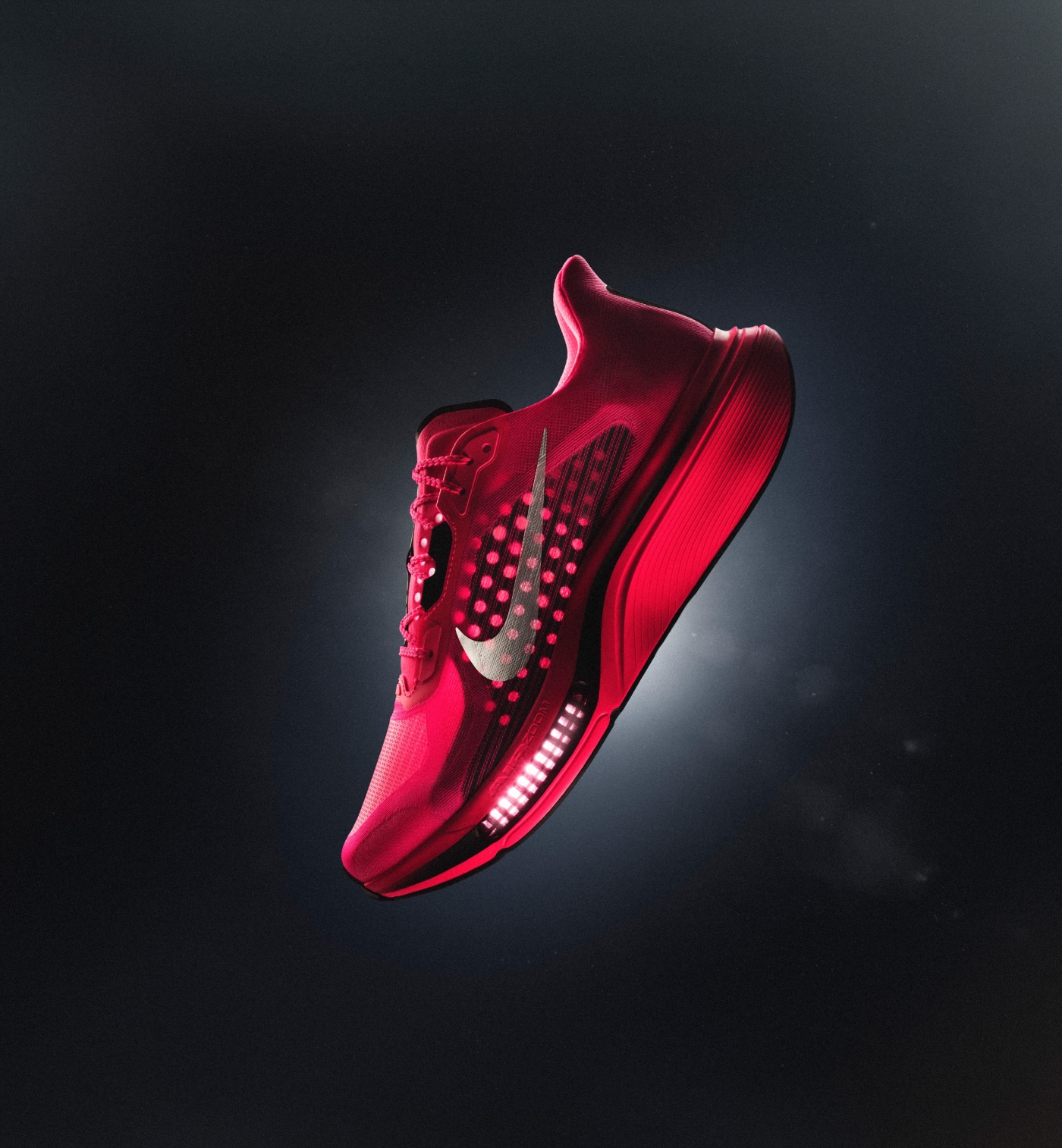 Nike pegasus plus 2
