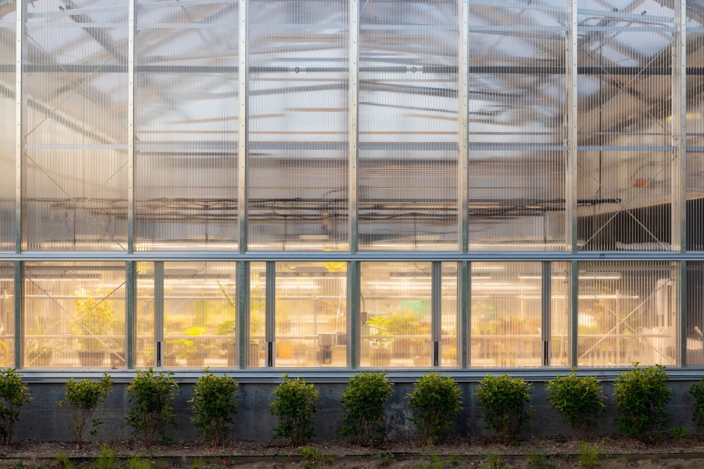 Sustainability Learning Lab lighting design