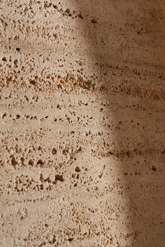 SON leg texture