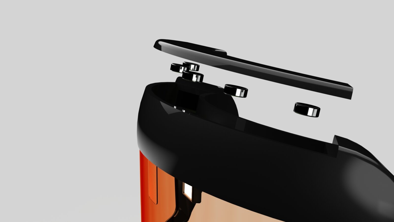 Sentinel mounting system