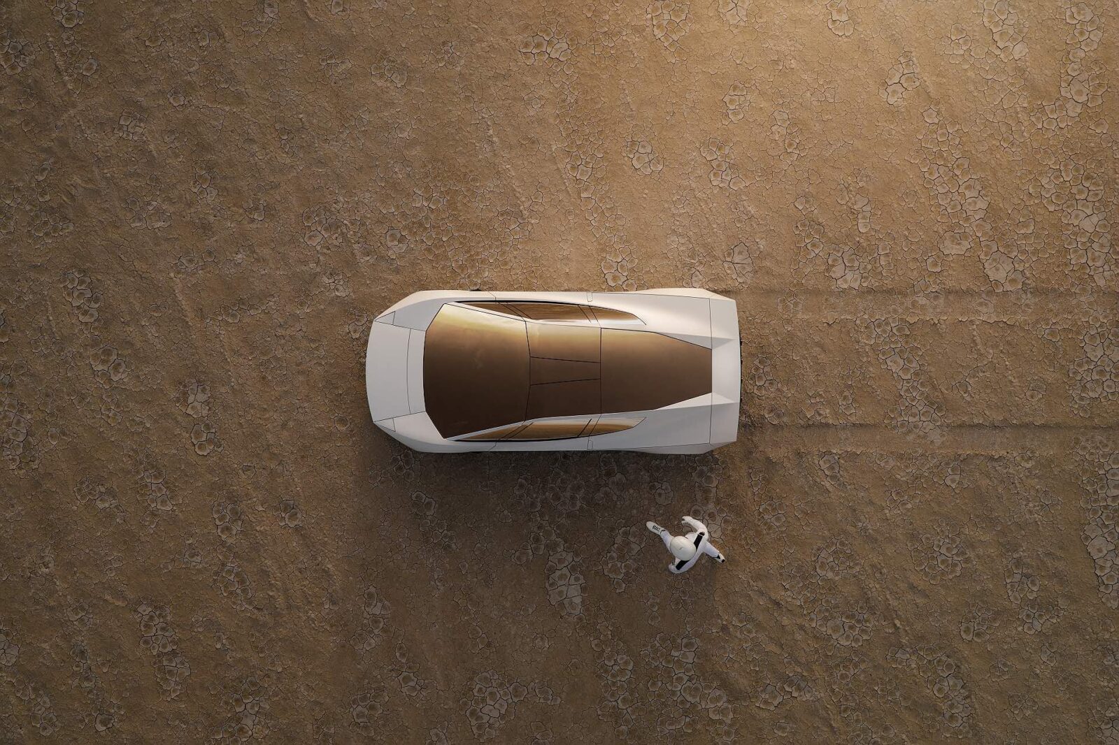 The New Tesla Roadster
