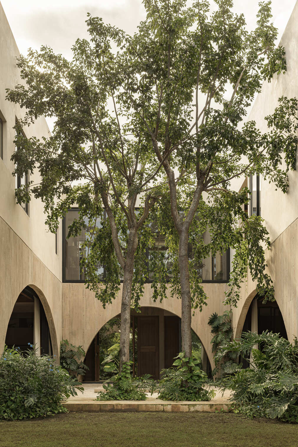 Casa Dragones by V Taller